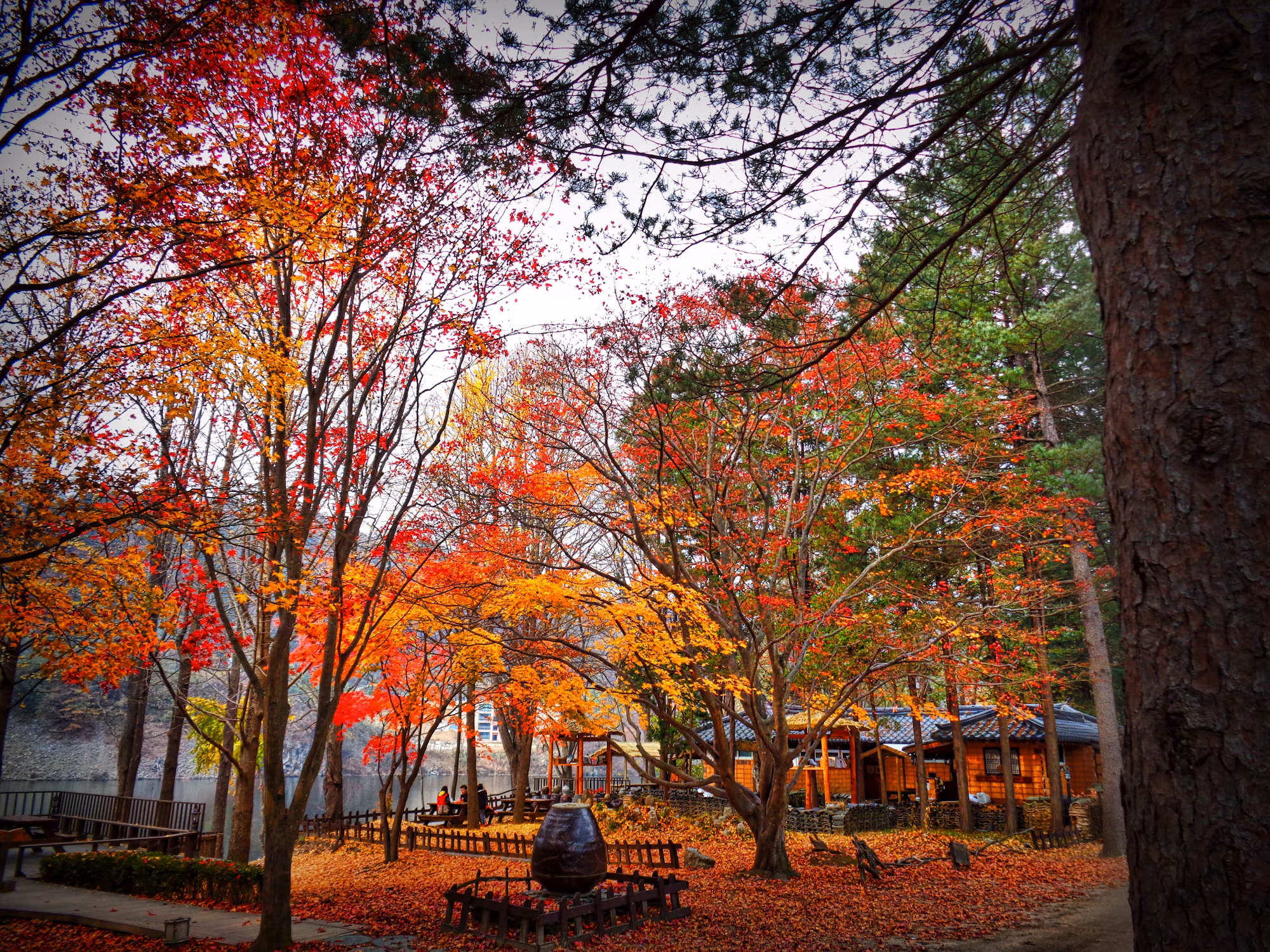 The Art of Travel: Embracing New Experiences and Cultures