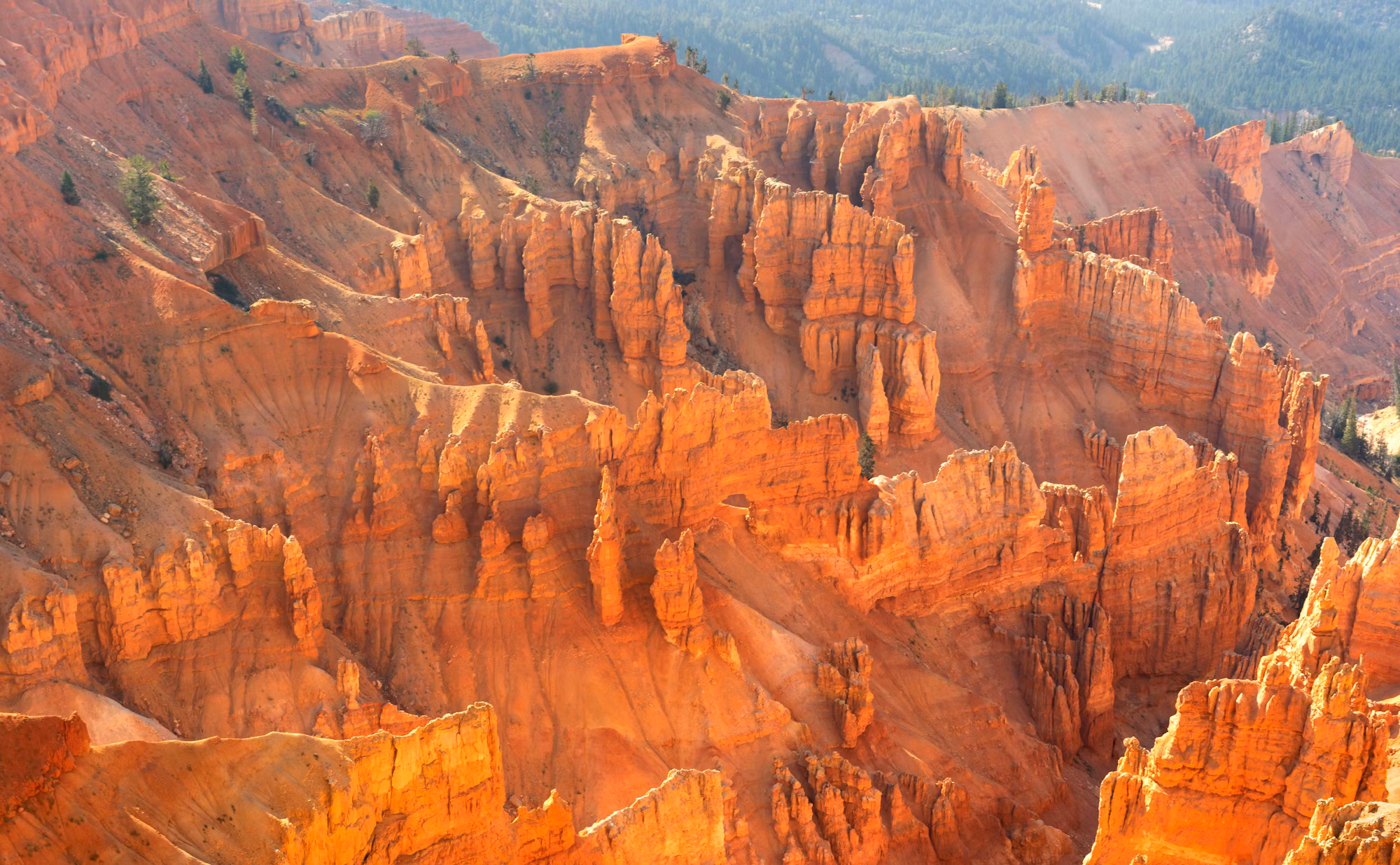 Sustainable Travel: Embracing Responsibility and Adventure