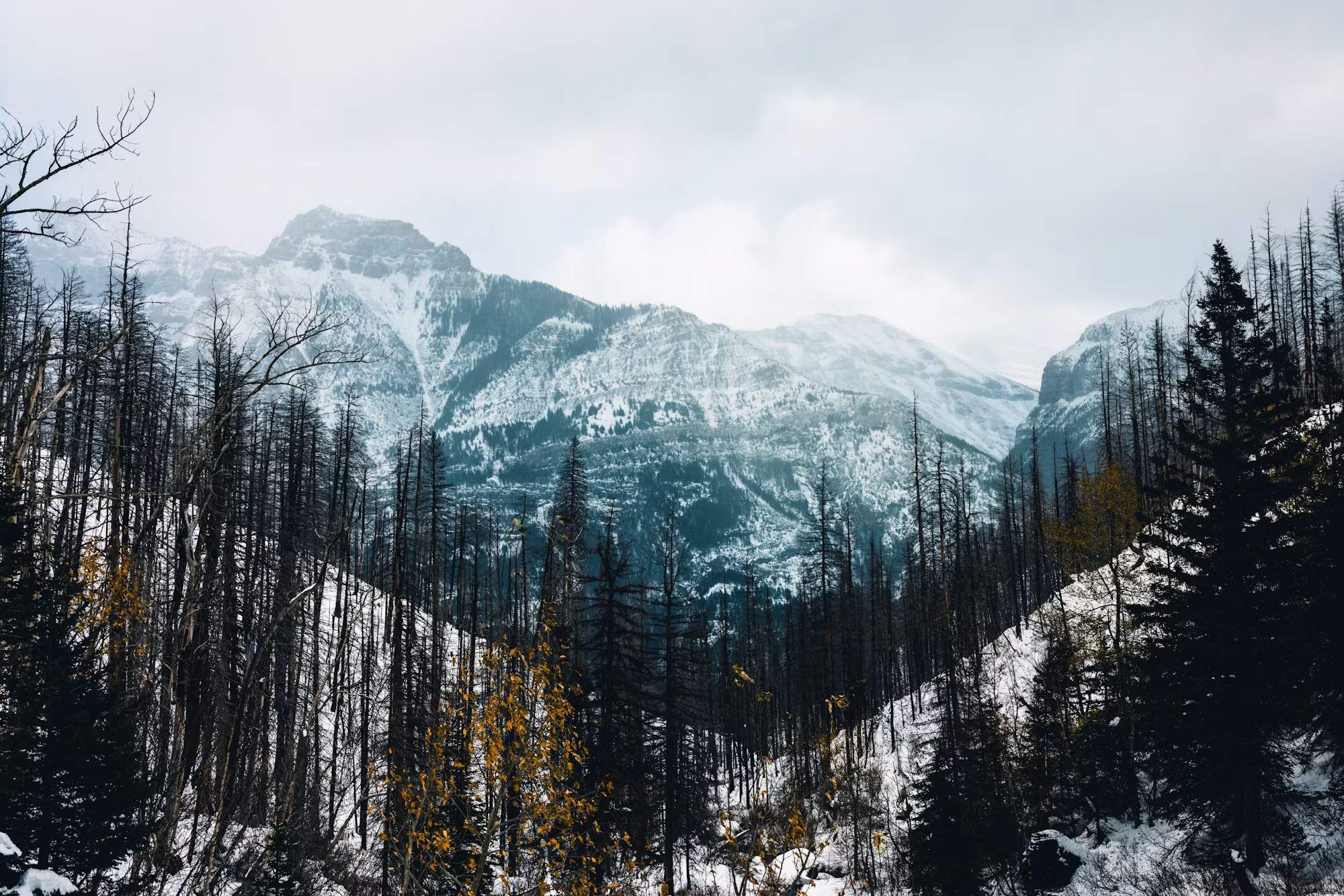 Exploring the Great Outdoors: The Ultimate Guide to Camping Adventures